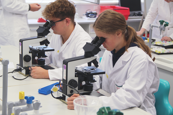 Zwei Schüler am Mikroskop
